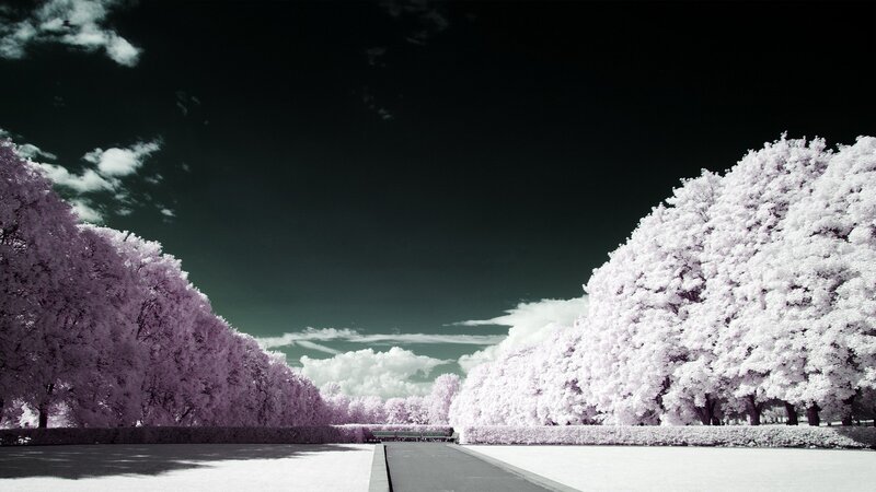 Infrared park pathway