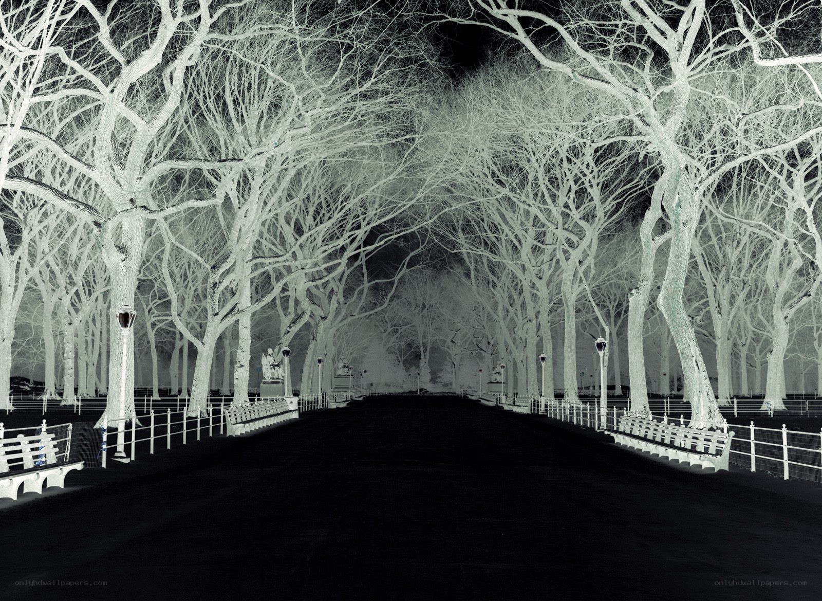 Infrared park pathway