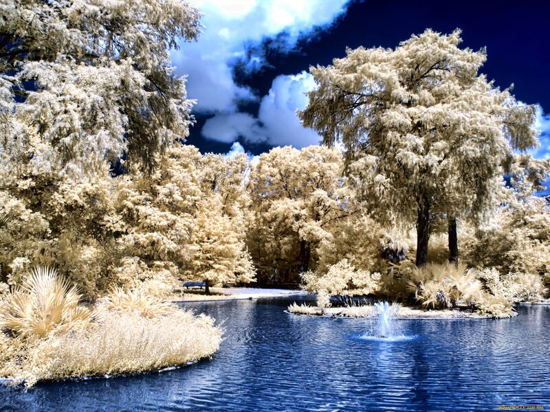 Infrared Park Pond