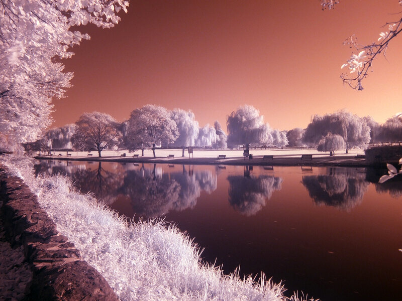 Infrared Park Pond — White