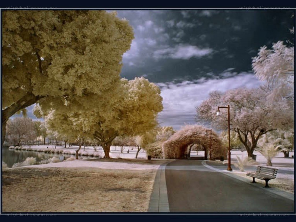 Infrared park scene