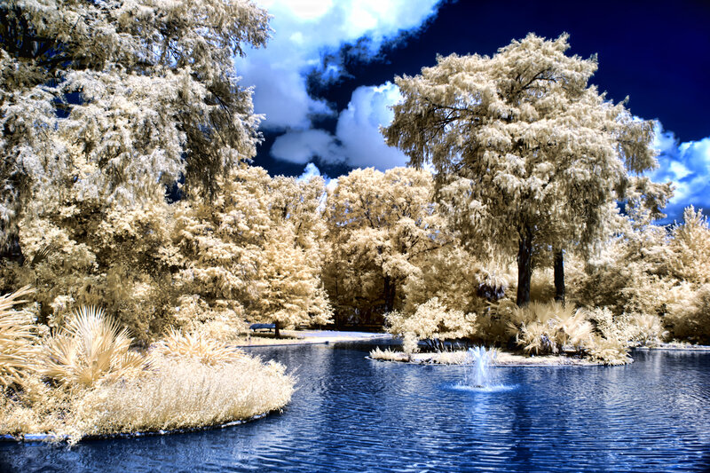 Infrared Park Scene — Blue, Dramatic, Afternoon