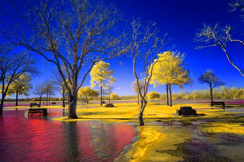 Infrared Park Scene — Blue, Dramatic, Photograph