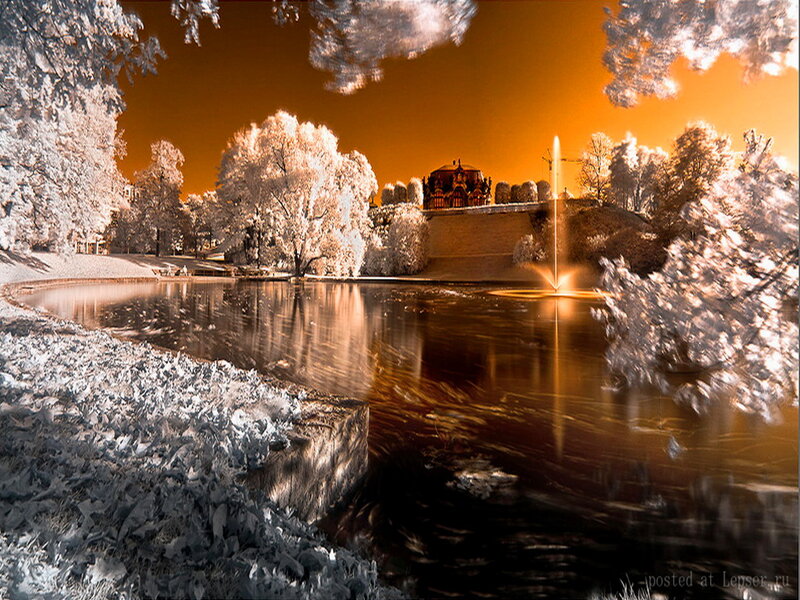 Infrared Park Scene — Orange