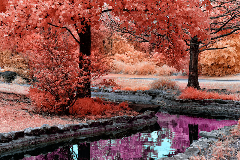 Infrared Park Scene — Red