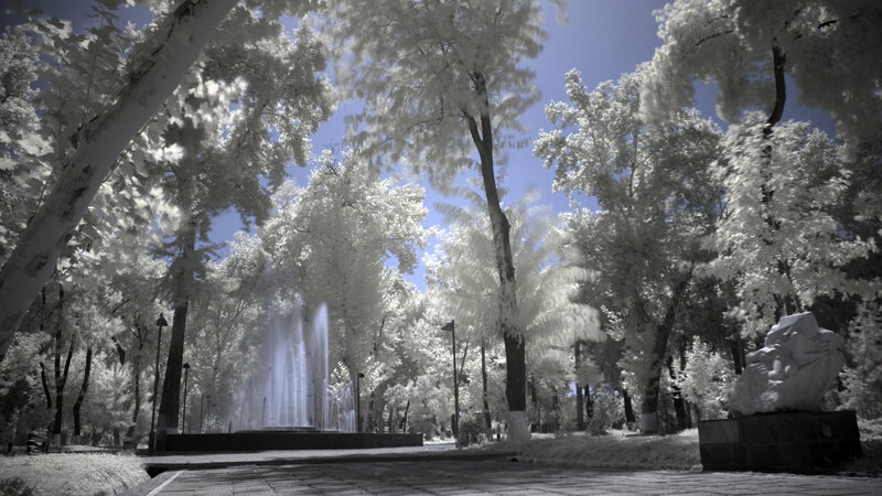 Infrared Park Scene — White, Serene, Afternoon