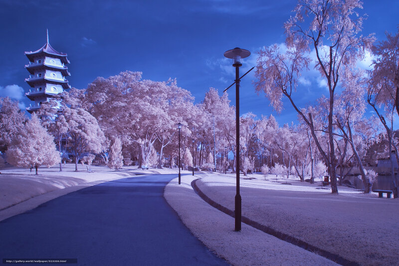 Infrared park with pagoda