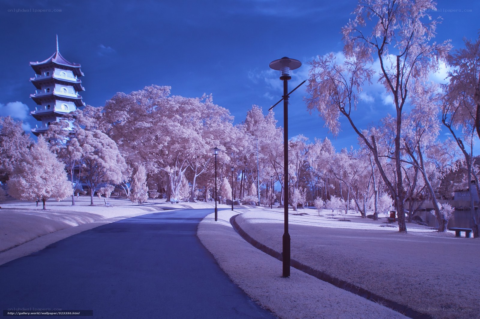 Infrared park with pagoda