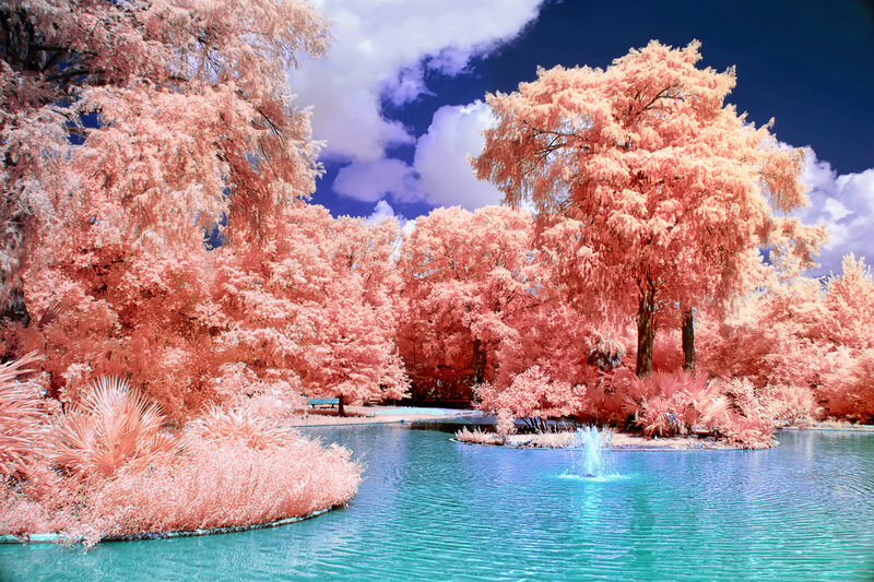Infrared Park with Pond