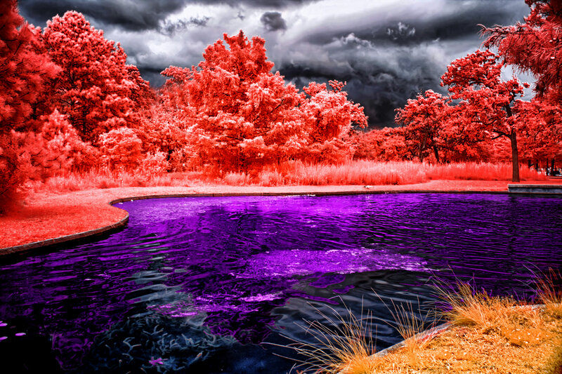 Infrared Pond Landscape — Red