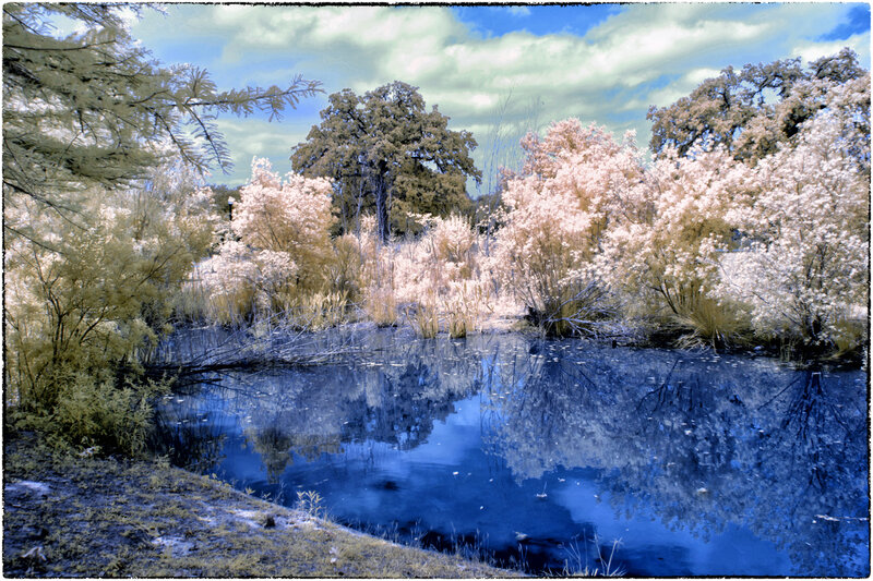Infrared Pond Landscape