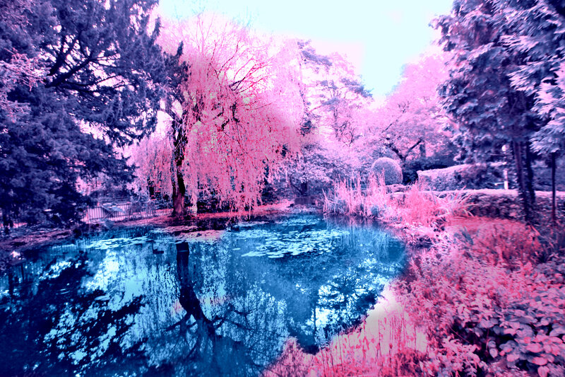 Infrared Pond with Trees