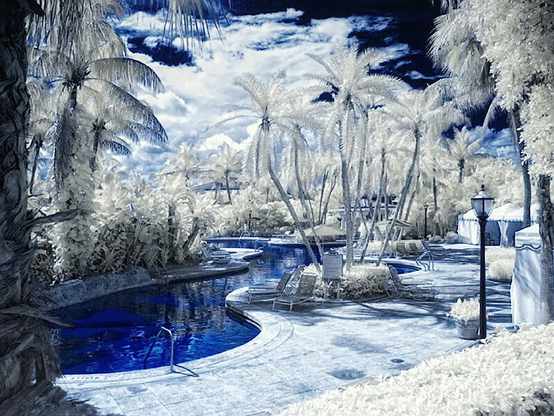 Infrared Pool Scene — Blue
