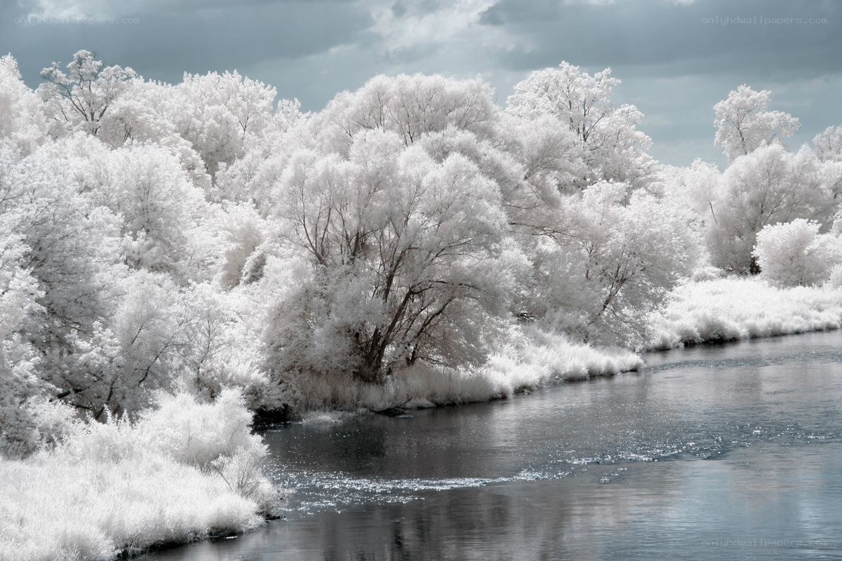 Infrared river landscape