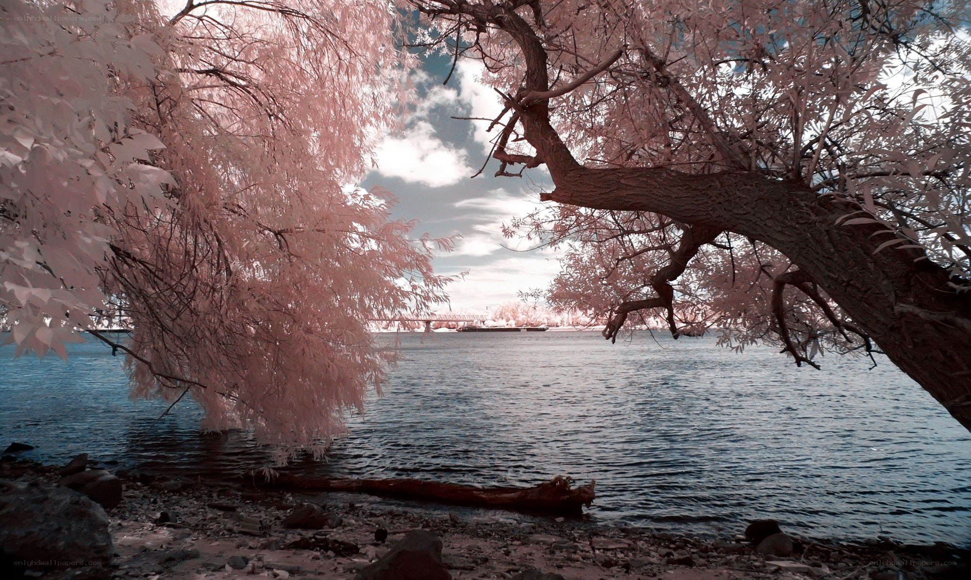 Infrared river landscape