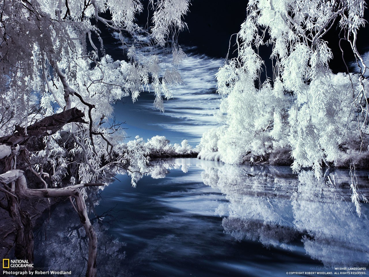 Infrared River Landscape