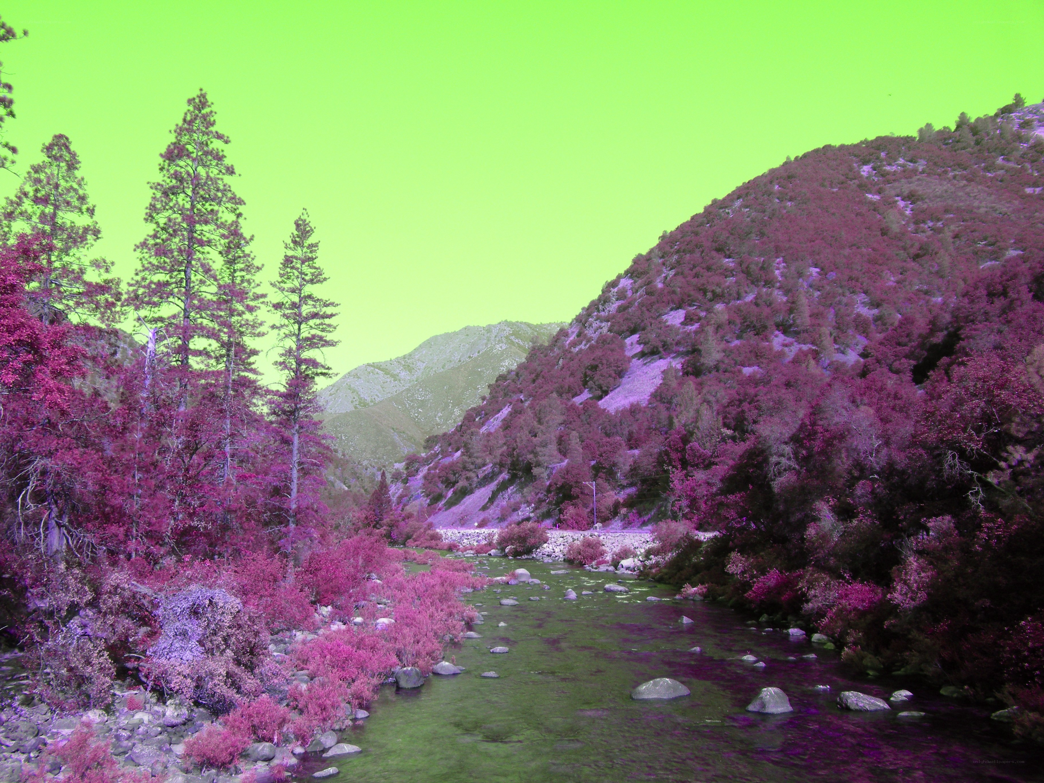 Infrared river landscape