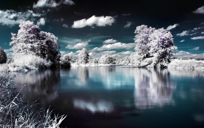 Infrared River Landscape — Trees