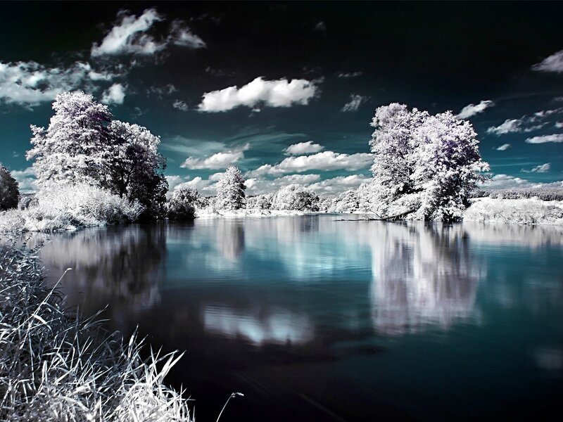 Infrared River Landscape — White, Dramatic, Photograph, Trees