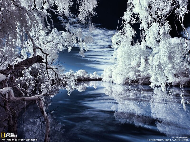 Infrared River Landscape — White, Serene, Photograph, Trees