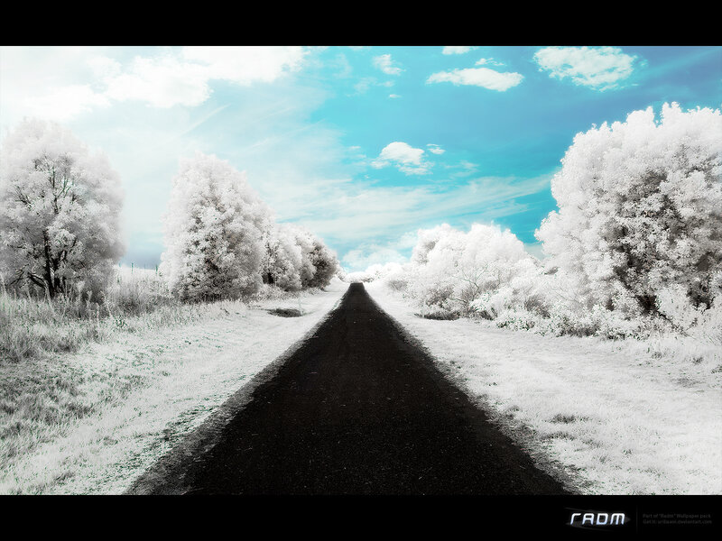 Infrared Road Scene — Black