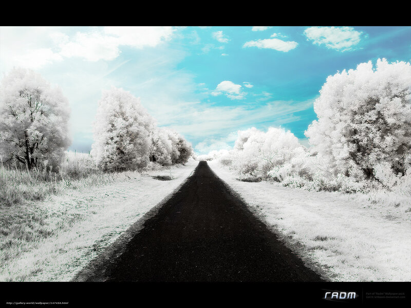 Infrared Road Scene