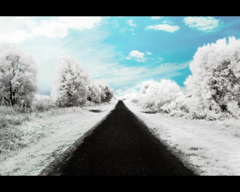Infrared road to the horizon