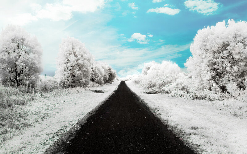 Infrared road to the horizon