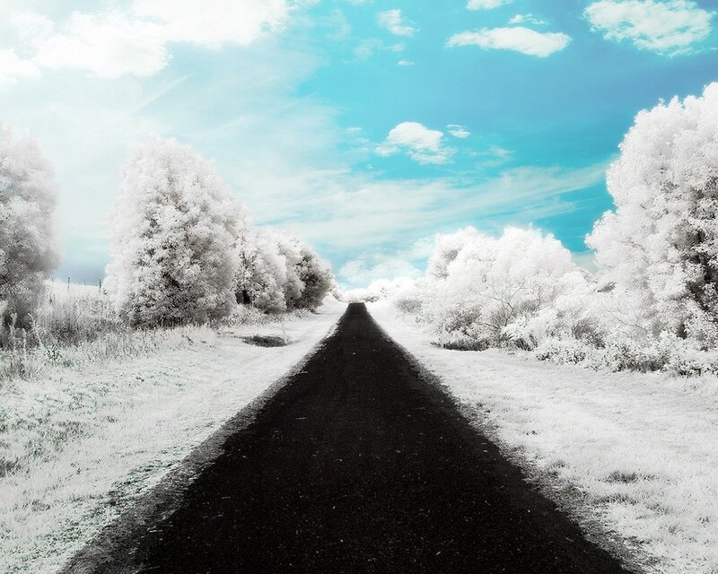 Infrared road to the horizon