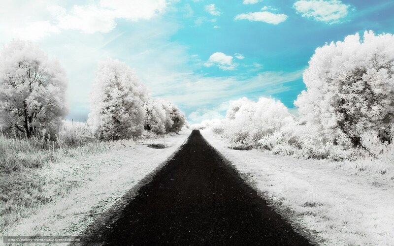 Infrared road to the horizon