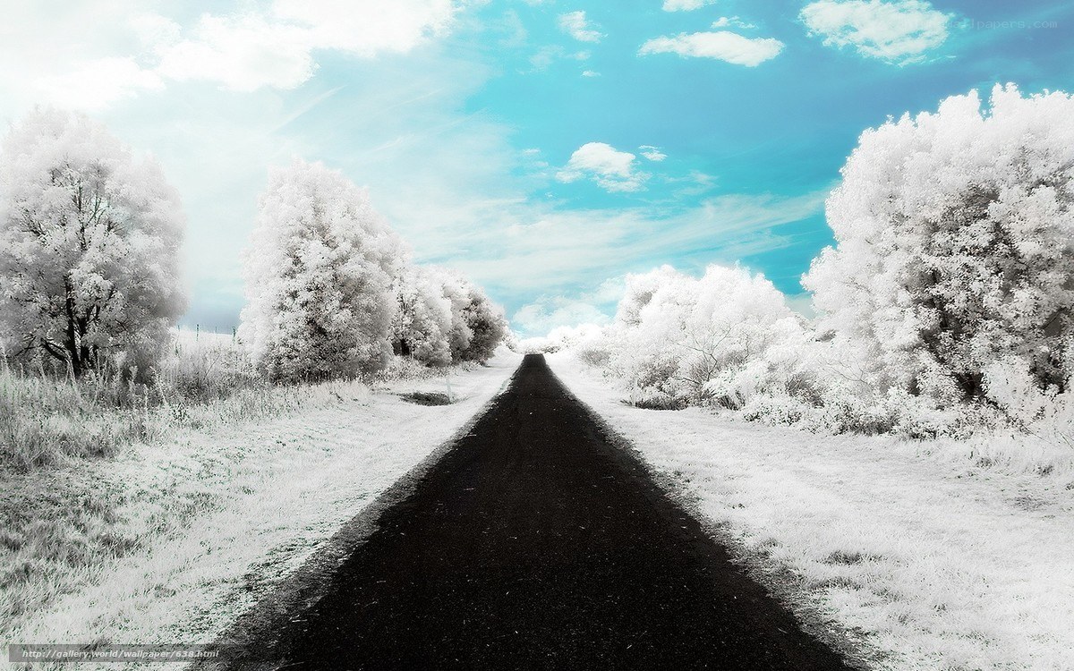 Infrared road to the horizon