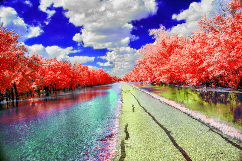 Infrared Road with Trees — Red
