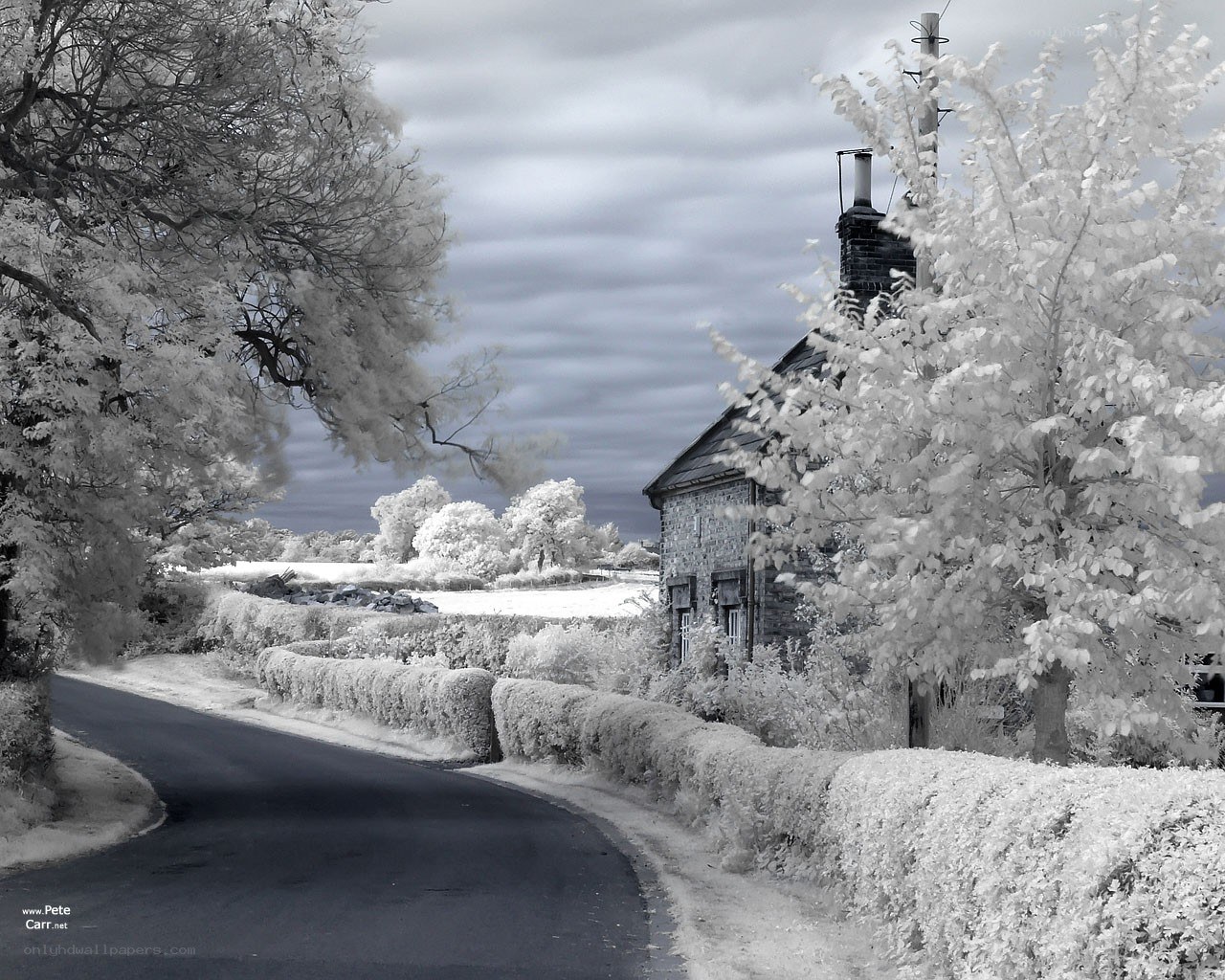 Infrared rural landscape