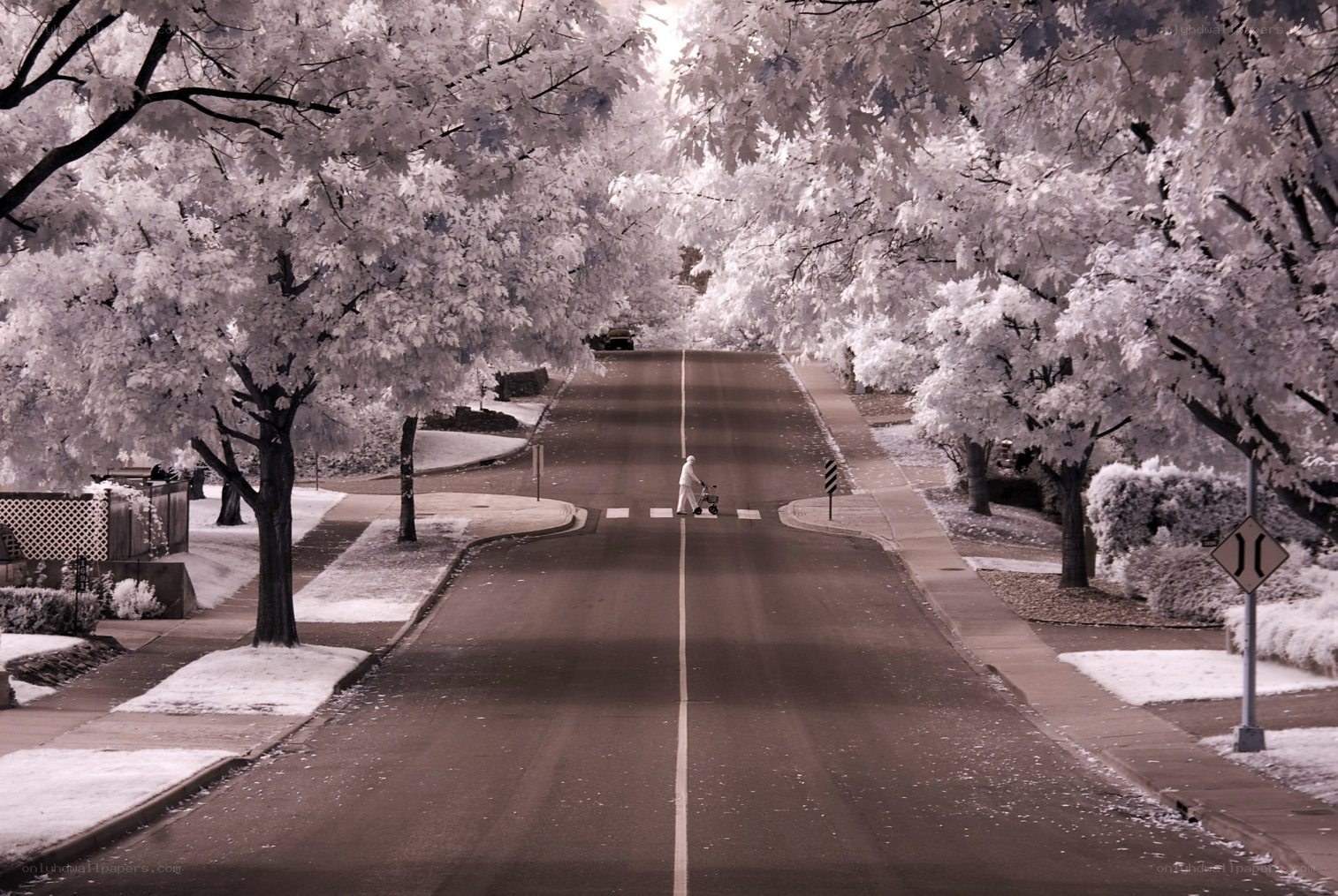 Infrared street scene with pedestrian