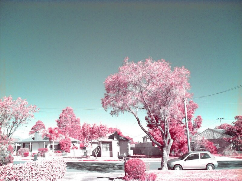 Infrared suburban street scene