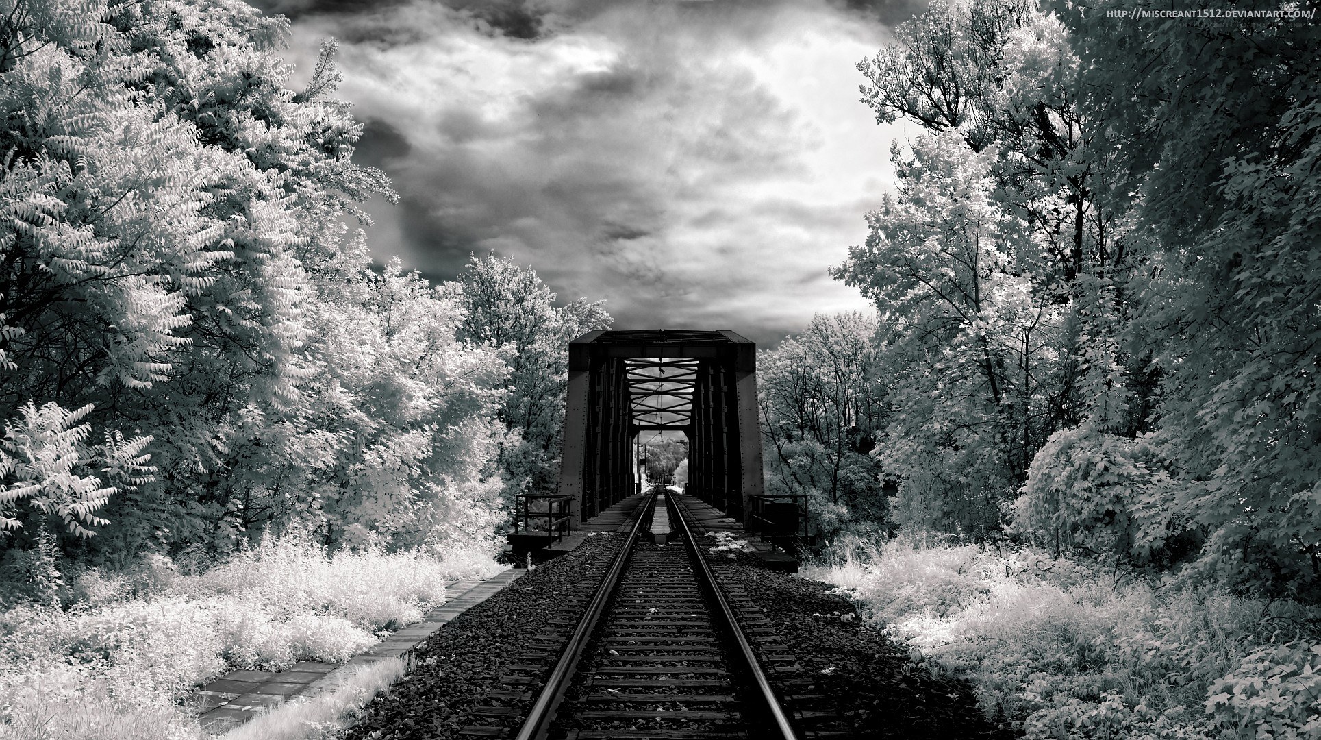 Infrared train tracks through forest