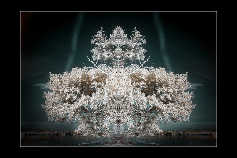 Infrared tree with reflection