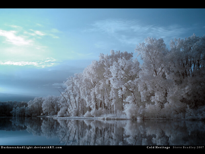 Infrared Trees by Lake — Blue