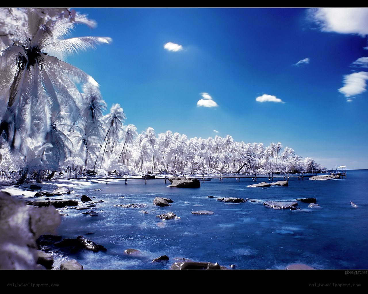 Infrared tropical beach scene