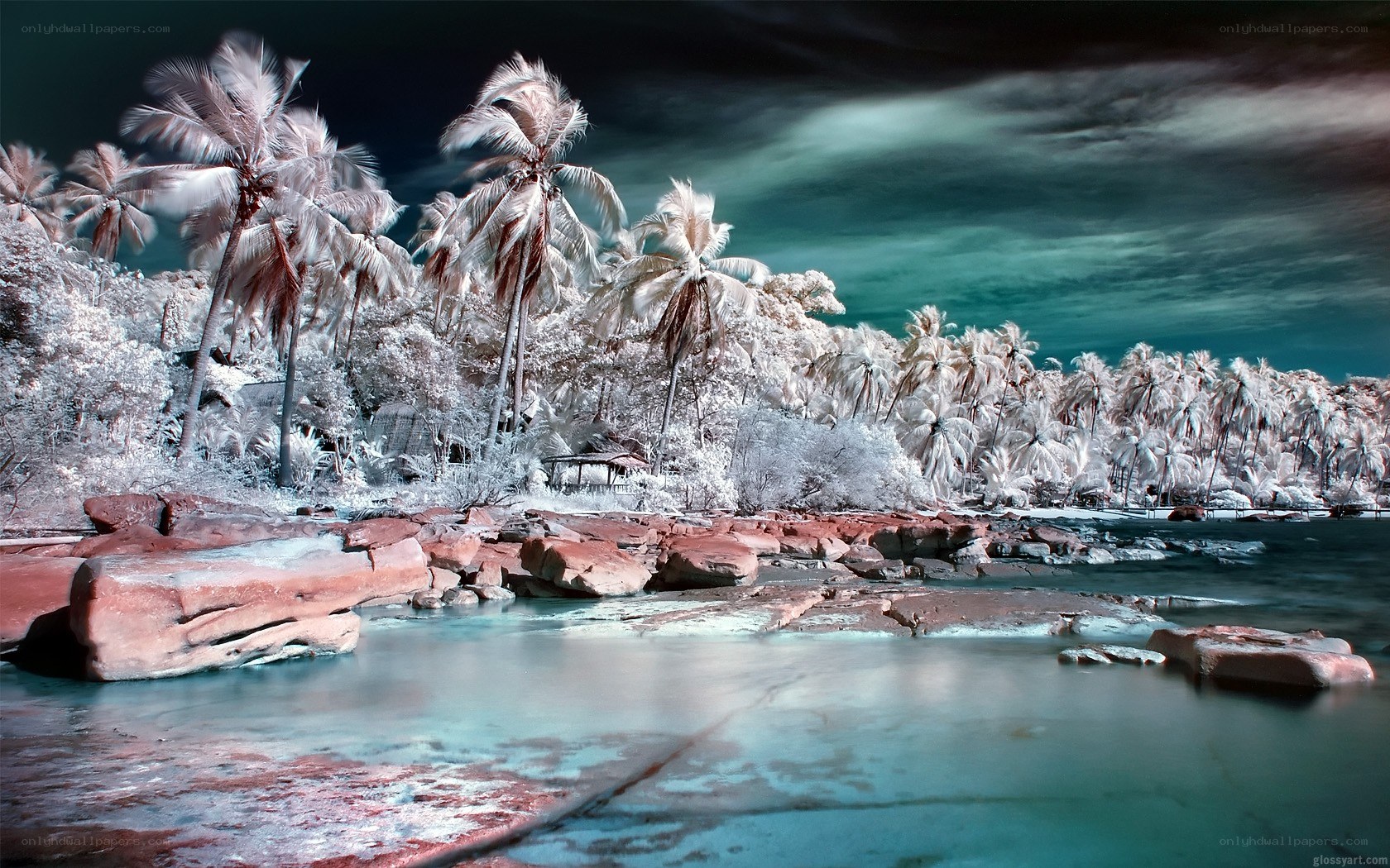 Infrared tropical beach scene
