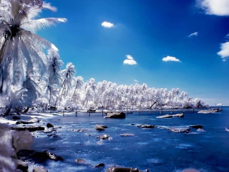 Infrared tropical beach scene