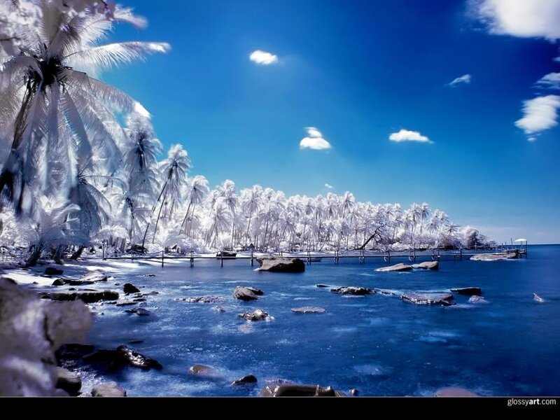 Infrared tropical beach scene