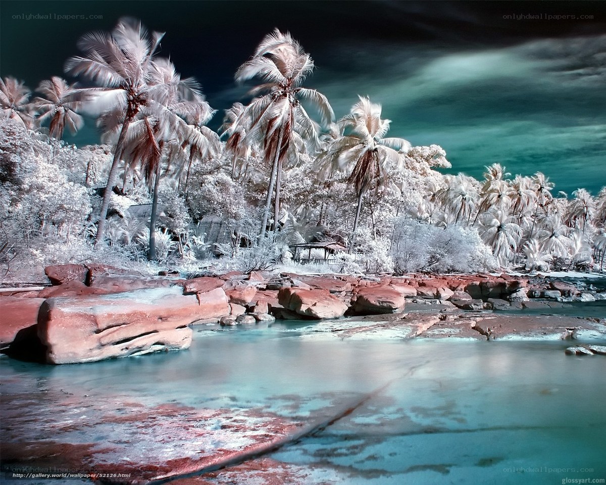Infrared tropical beach scene