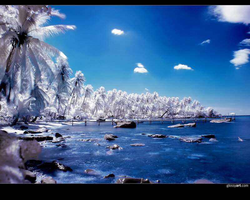 Infrared Tropical Beach