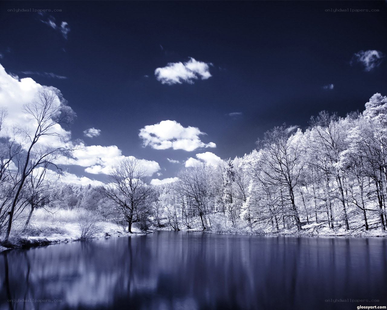 Infrared winter lake scene