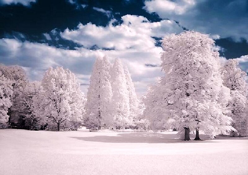 Infrared winter landscape