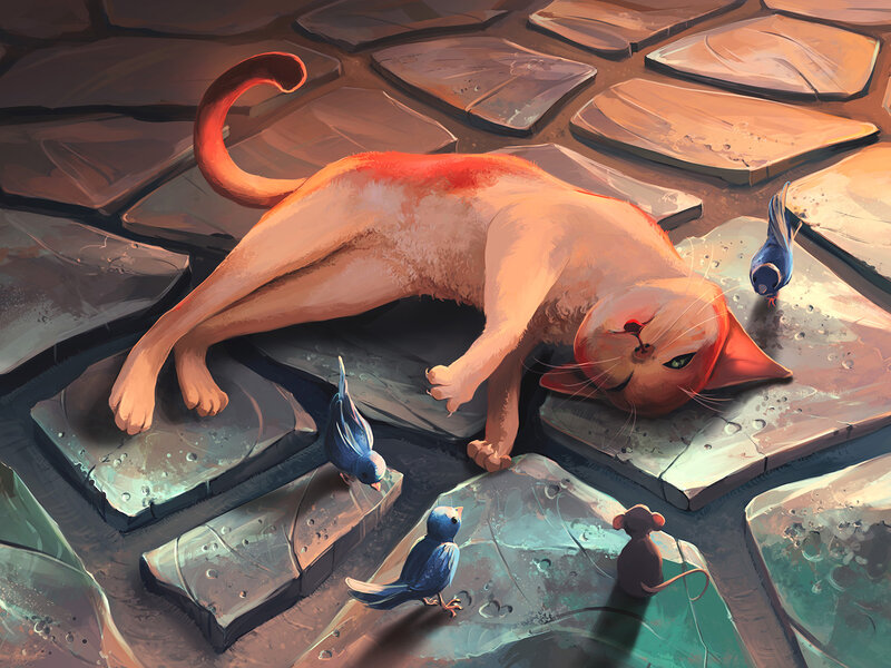 Injured Cat on Stone