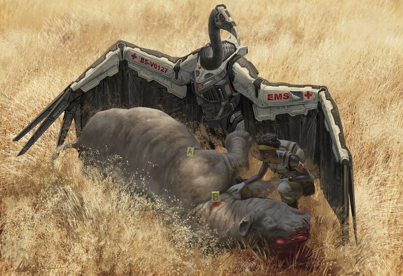 Injured Rhino in Field