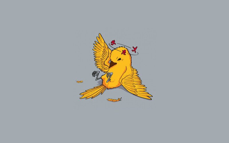injured yellow bird