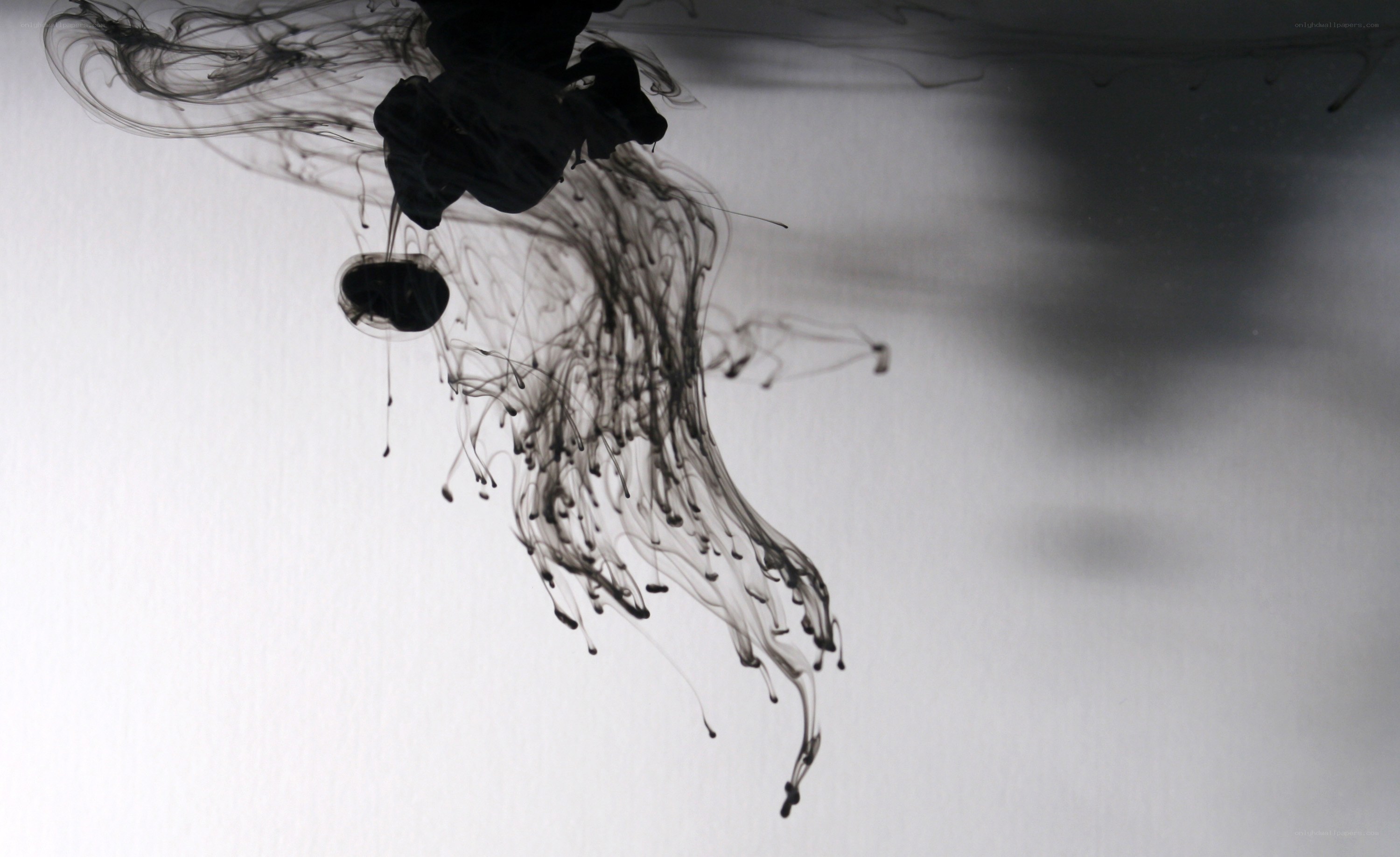 ink dispersing in water
